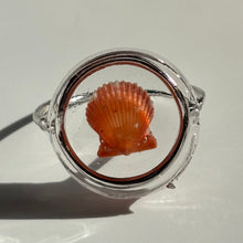 Load image into Gallery viewer, *Rare Finds* Treasure Seashell Rings
