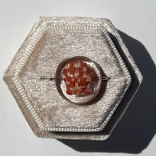 Load image into Gallery viewer, *Rare Finds* Treasure Seashell Rings
