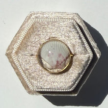 Load image into Gallery viewer, *Rare Finds* Treasure Seashell Rings
