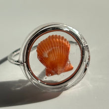 Load image into Gallery viewer, *Rare Finds* Treasure Seashell Rings
