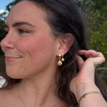 Load image into Gallery viewer, Gold Seashell Earrings
