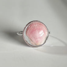 Load image into Gallery viewer, *Rare Finds* Treasure Seashell Rings
