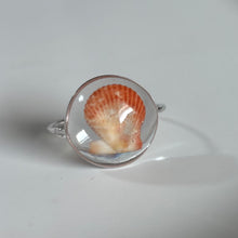 Load image into Gallery viewer, *Rare Finds* Treasure Seashell Rings

