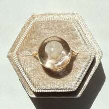 Load image into Gallery viewer, *Rare Finds* Treasure Seashell Rings

