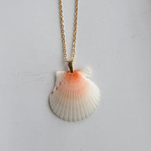 Load image into Gallery viewer, *Rare Finds* Dainty Gold Seashell Necklace
