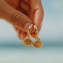 Load image into Gallery viewer, All Gold Hoop Seashell Earrings

