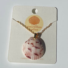 Load image into Gallery viewer, *Rare Finds* Dainty Gold Seashell Necklace
