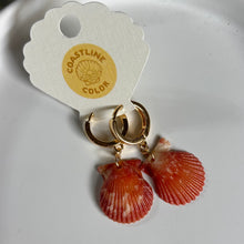 Load image into Gallery viewer, *Rare Finds* Tiny Seashell Earrings
