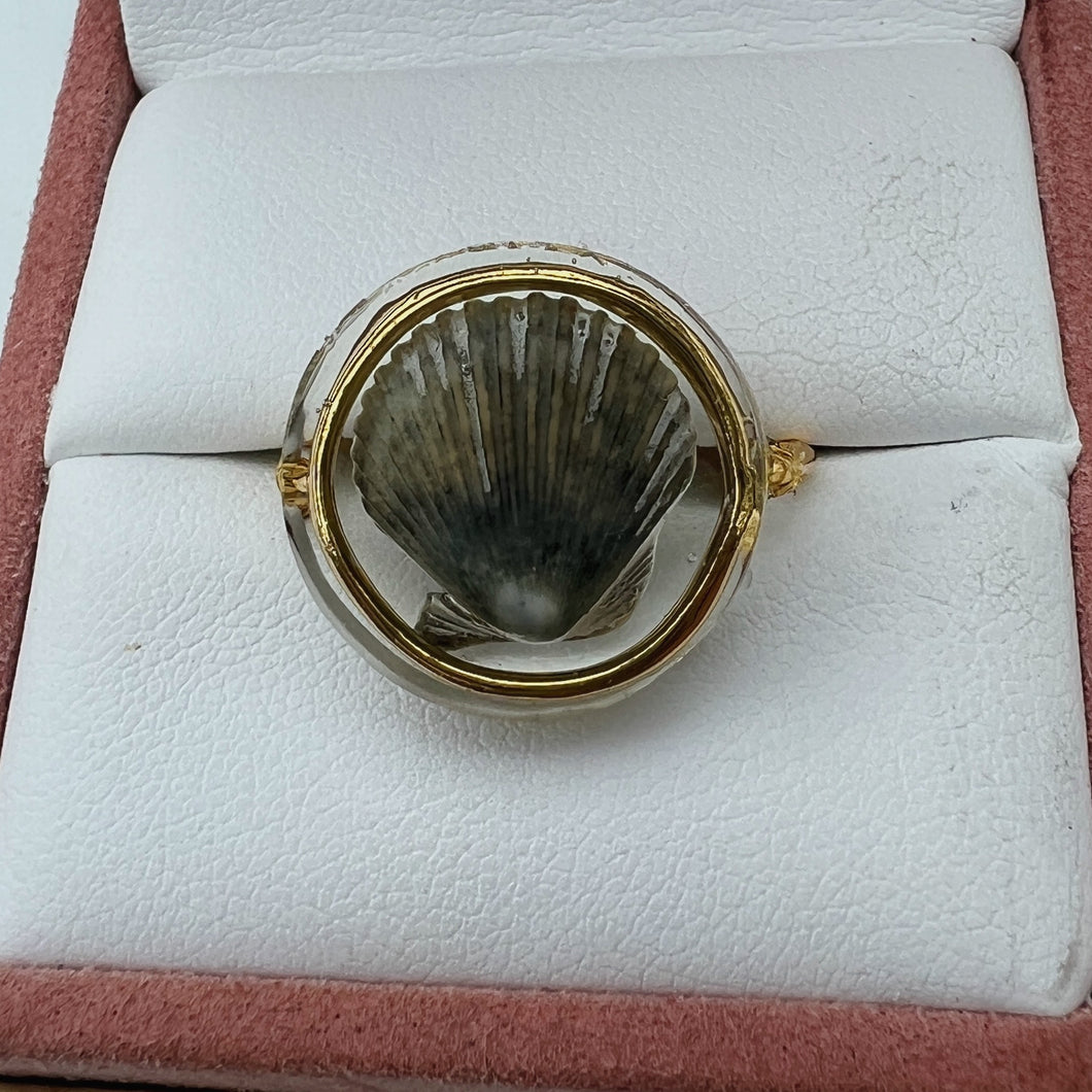 Gold Treasure Seashell Ring