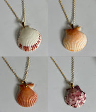 Load image into Gallery viewer, *Rare Finds* Dainty Gold Seashell Necklace
