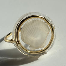 Load image into Gallery viewer, *Rare Finds* Treasure Seashell Rings
