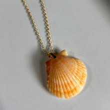 Load image into Gallery viewer, *Rare Finds* Dainty Gold Seashell Necklace
