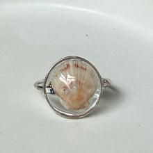 Load image into Gallery viewer, *Rare Finds* Treasure Seashell Rings
