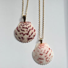 Load image into Gallery viewer, Dainty Gold Seashell Necklace
