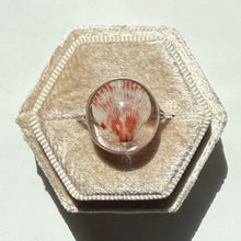 Load image into Gallery viewer, *Rare Finds* Treasure Seashell Rings
