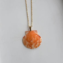 Load image into Gallery viewer, *Rare Finds* Dainty Gold Seashell Necklace
