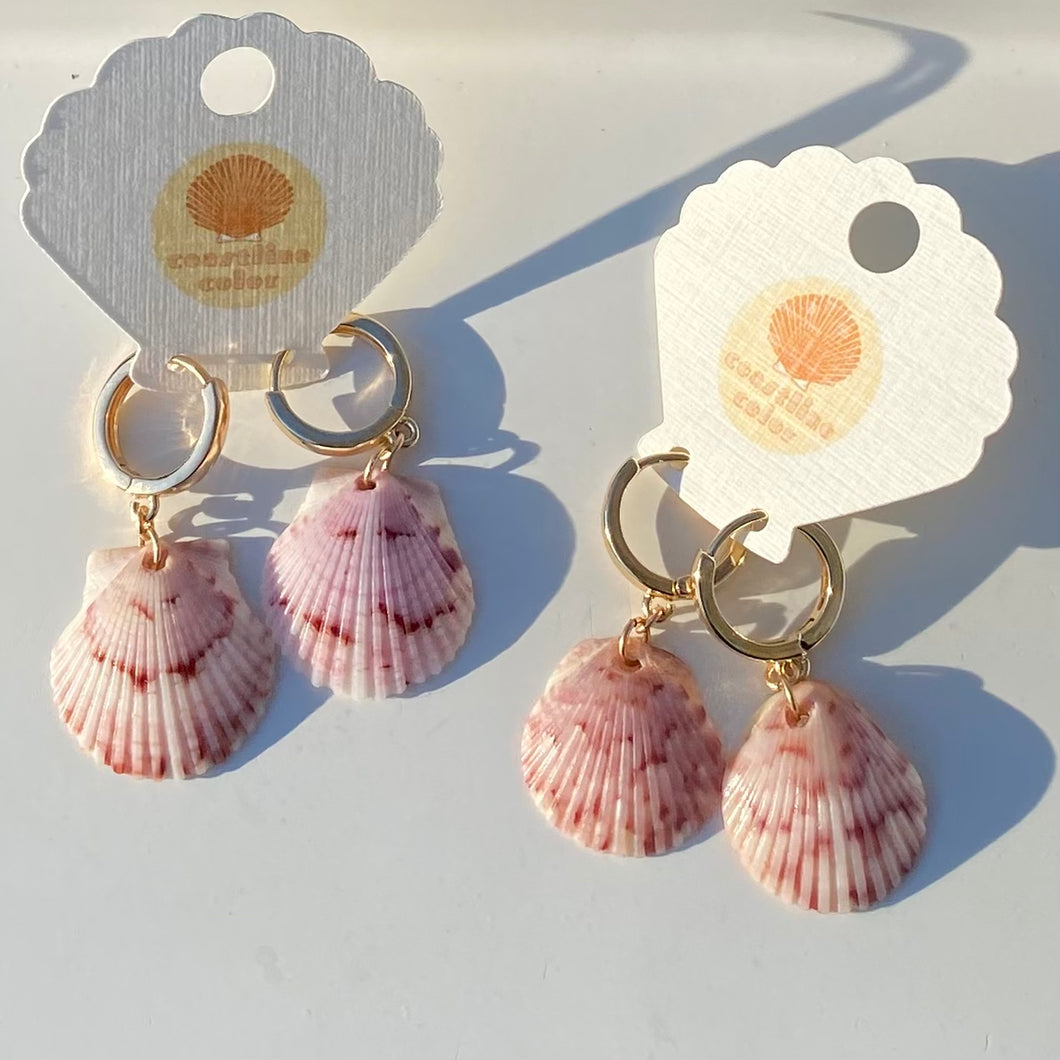 Tiny Gold Hoop Seashell Earrings