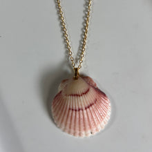 Load image into Gallery viewer, *Rare Finds* Dainty Gold Seashell Necklace
