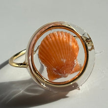 Load image into Gallery viewer, *Rare Finds* Treasure Seashell Rings
