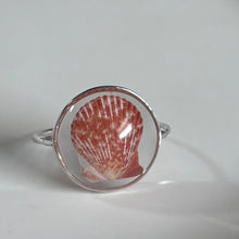 Load image into Gallery viewer, *Rare Finds* Treasure Seashell Rings
