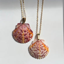 Load image into Gallery viewer, Dainty Gold Seashell Necklace
