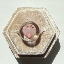 Load image into Gallery viewer, *Rare Finds* Treasure Seashell Rings
