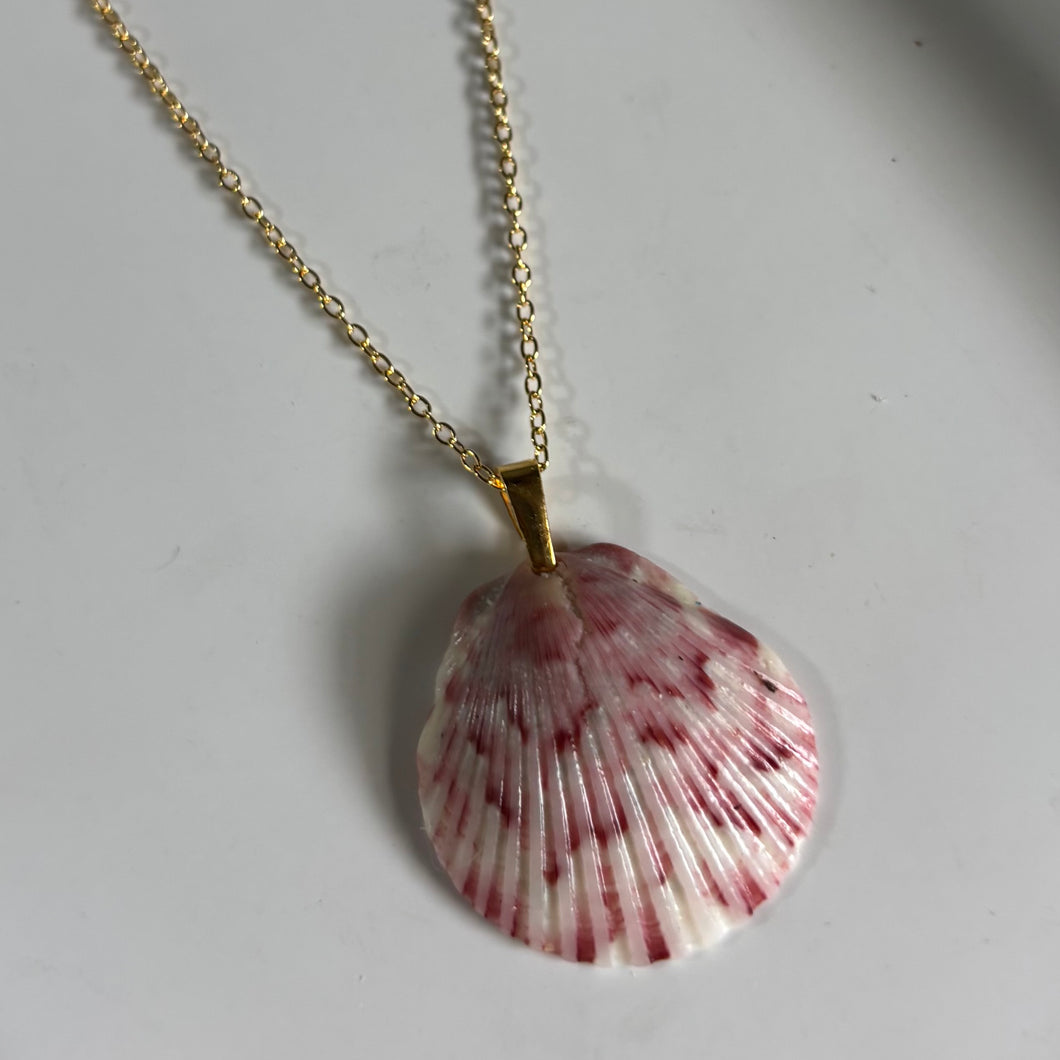 *Rare Finds* Dainty Gold Seashell Necklace