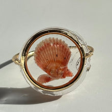 Load image into Gallery viewer, *Rare Finds* Treasure Seashell Rings
