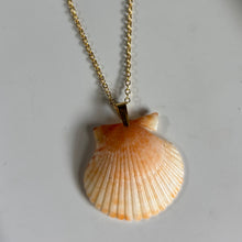 Load image into Gallery viewer, *Rare Finds* Dainty Gold Seashell Necklace
