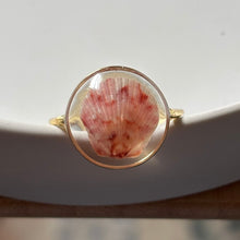 Load image into Gallery viewer, *Rare Finds* Treasure Seashell Rings
