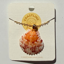 Load image into Gallery viewer, *Rare Finds* Dainty Gold Seashell Necklace

