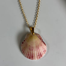 Load image into Gallery viewer, *Rare Finds* Dainty Gold Seashell Necklace
