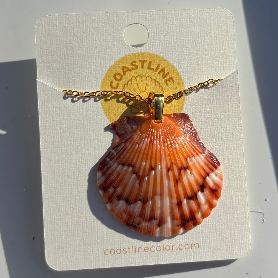 *Rare Finds* Dainty Gold Seashell Necklace