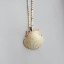 Load image into Gallery viewer, *Rare Finds* Dainty Gold Seashell Necklace
