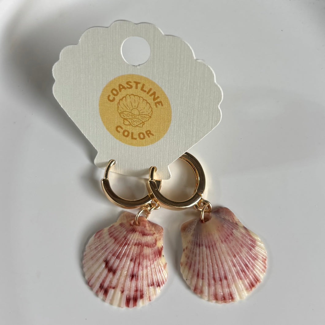 *Rare Finds* Tiny Seashell Earrings