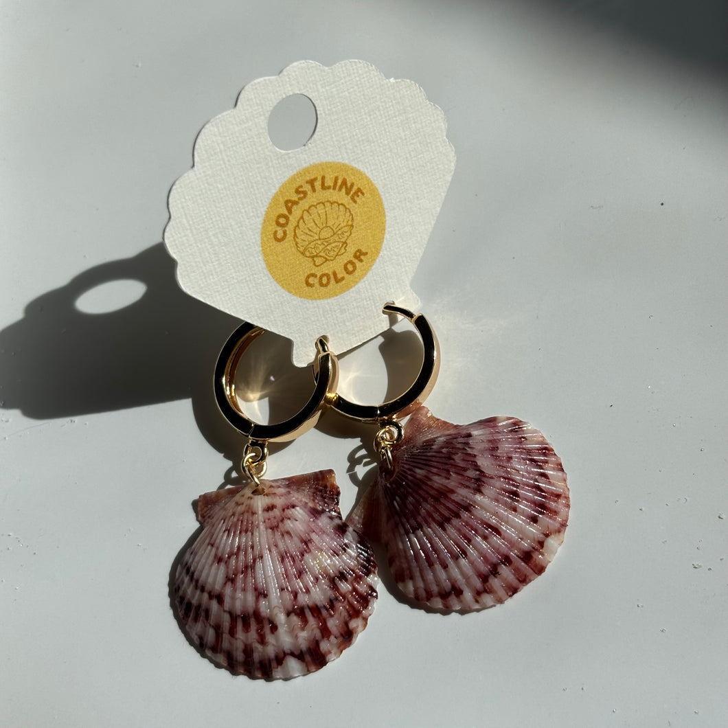 *Rare Finds* Seashell Earrings