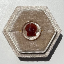 Load image into Gallery viewer, *Rare Finds* Treasure Seashell Rings
