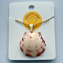 Load image into Gallery viewer, *Rare Finds* Dainty Gold Seashell Necklace
