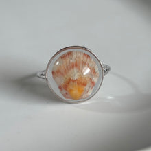 Load image into Gallery viewer, *Rare Finds* Treasure Seashell Rings
