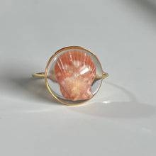 Load image into Gallery viewer, *Rare Finds* Treasure Seashell Rings
