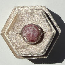 Load image into Gallery viewer, *Rare Finds* Treasure Seashell Rings
