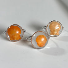 Load image into Gallery viewer, Silver Treasure Seashell Rings
