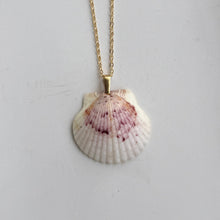 Load image into Gallery viewer, *Rare Finds* Dainty Gold Seashell Necklace
