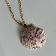 Load image into Gallery viewer, *Rare Finds* Dainty Gold Seashell Necklace
