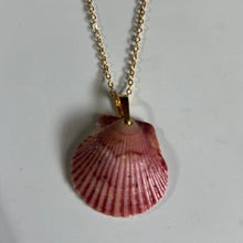 Load image into Gallery viewer, *Rare Finds* Dainty Gold Seashell Necklace
