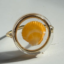 Load image into Gallery viewer, *Rare Finds* Treasure Seashell Rings
