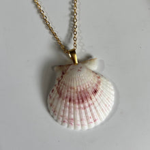 Load image into Gallery viewer, *Rare Finds* Dainty Gold Seashell Necklace
