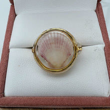 Load image into Gallery viewer, Gold Treasure Seashell Ring
