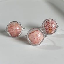 Load image into Gallery viewer, Silver Treasure Seashell Rings

