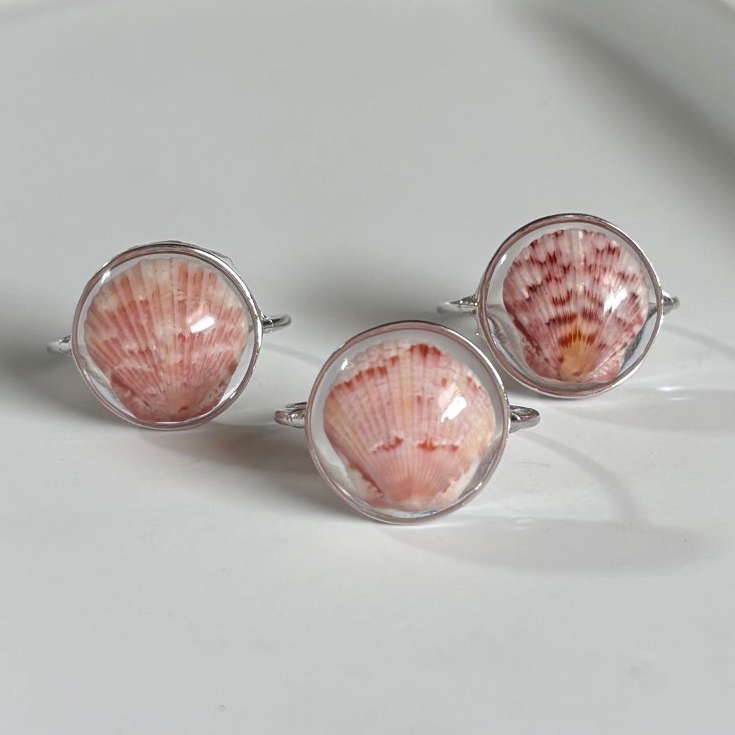 Silver Treasure Seashell Rings
